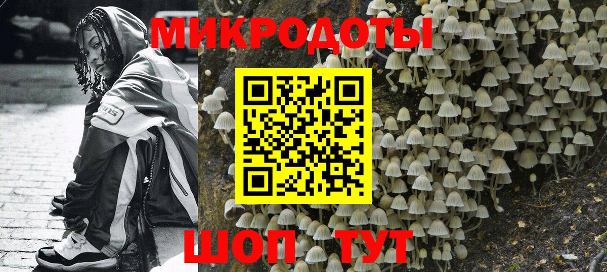 Михайловка  Галлюциногенные грибы Cubensis  Галлюциногенные грибы MAGIC MUSHROOMS  Вход с VPN 